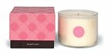 Bluewick Soy Glass Candle Starfruit