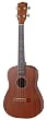 Johnson UK210 Mahogany Baritone Ukulele