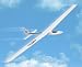 Fling DLG Sport Discus Launch Glider ARF