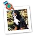 Dogs Bernese Mountain Dog - Bernese Mountain Dog - Quilt Squares