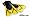 Aqua Sphere Zip Fitness Fin, Small(3-6), Yellow with Black Trim