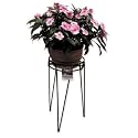 30" Hampton Plant Stand