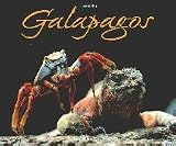 Galapagos: Inseln aus Feuer geboren - Tui de Roi
