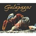 Galapagos: Inseln aus Feuer geboren