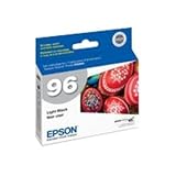 Epson T096720 Stylus Photo R2880 Printer UltraChrome K3 Ink Cartridge (Light Black)