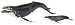 Wild Safari Sealife - Humpback Whale Adult