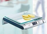 Hanson Glass Kitchen Wall Scales