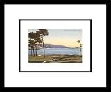 Spectacular California Golf Framed Art Print, 16