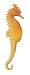 Yellow Seahorse, Wild Safari