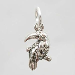 Tiny Toucan Tropical Bird Charm in Sterling Silver, #11519