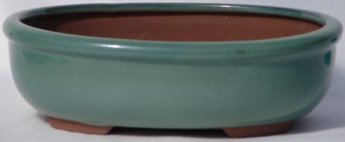 BuyBonsai's Bonsai Pot 10 Oval Glazed Green