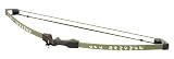 Barnett Lil Banshee Jr. Compound Archery Set