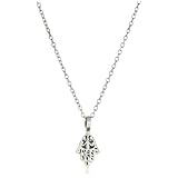 Satya Jewelry Silver Protection Necklace