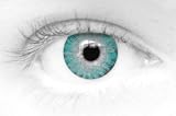 Eye Spy Daily Contact Lenses Aqua