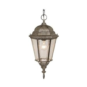 Birchard - 1 Light Outdoor Pendant Lighting Fixture - Lava Stone Pewter - Clear Seeded... by 