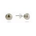 Eve's Addiction 9mm White Freshwater Pearl and Sterling Silver Stud Earrings