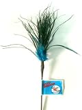  : Go Cat Kitty Broom