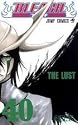 Bleach Volume 40 (in Japanese, Vol 40)