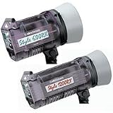 Elinchrom EL 20746 Style 600RX/1200RX Kit