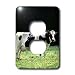 Farm Animals - Holstein Cow - Light Switch Covers - 2 plug outlet cover