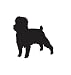 Companion Dog Pet Affenpinscher Car Truck Vehicle Bumper Helmet Decal Sticker Wall Art Laptop Design Skin Stickers