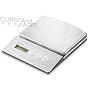 Salter 11-Pound Electronic Scale with Stainless Steel Top