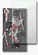 BCW Basketball Tall Card Sleeves - 2 5/8 X 4 13/16 - (5 Pack) Baseball, Football, Basketball, Hockey, Golf, Single Sports Cards Top Load - Sportcards Card Collecting Supplies