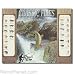 Classic River Fishing Flies Metal Sign