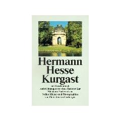 Kurgast: Aufzeichnungen von einer Badener Kur (insel taschenbuch)