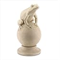 FROG ON BALL
