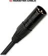 Monster Cable P500-M-20 Performer 500 Microphone Cable 20 ft. (Gold-Contact XLRs)