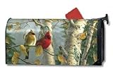 Mailwraps Cardinals In Birch Mailwrap