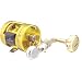 TICA(�e�B�J) �J�C�}�� CJ150R GOLD 0421022