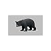 Black Bear