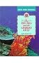 The Red Sea and the Arabian Gulf (Seas and Oceans)