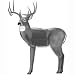 BLK GLENDEL BUCK 3-D TARGET