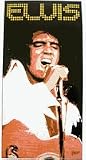 Elvis Presley Fan Beach/ Bath Towel