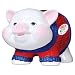 Search Our Specialty Mall : Jeff Gordon NASCAR Piggy Bank