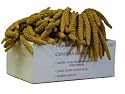 Worlds Freshest Spay Millet 5 Pound Box