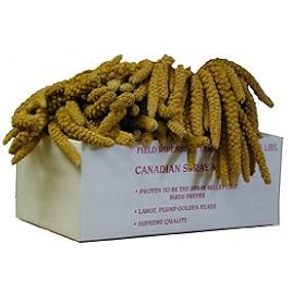 Worlds Freshest Spay Millet 5 Pound Box by Parrot Paradise Worlds Freshest Spay Millet