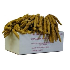 Worlds Freshest Spray Millet 5 Pound Box Nemeth Farms the Original