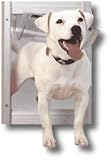 Innotek AF10-201-11 Classic Pet Door - Medium Satin