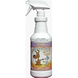 ANTI ICKY POO UNSCENTED STAIN AND ODOR REMOVER, QUART