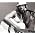 Thumbnail image of Danelle Harvey