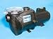 1.5 HP 3450RPM 115/230 Volts Inground Swimming Pool Pump Waterway Champion # CHAMPS115