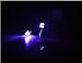 Esonstyle LED Earrings Glowing Light up Ear Drop Pendant Stud Stainless Multi-color