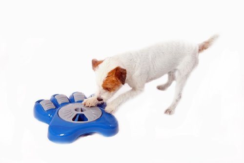 Dog Bowl Aikiou Puzzle Pet Food Bowl Feeder Blue