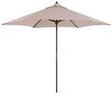 Patio Umbrella