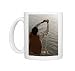 Hindu performing his daily devotion ritual to Ganga in Varanasi, Uttar Pradesh, Photo Mugs
