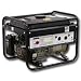 Buffalo Tools (NEWGEN4065) Portable Generator